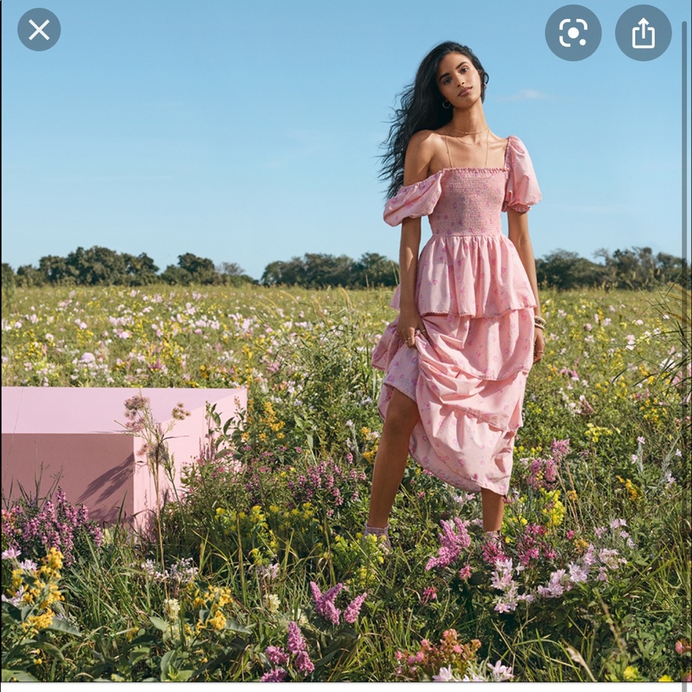 LoveShackFancy x target simone pink maxi dress xxs